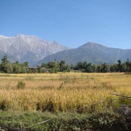 places to visit in dharamshala