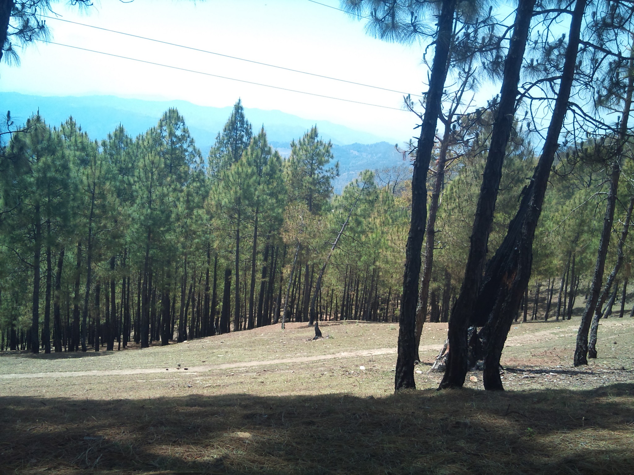 places to visit in Almora