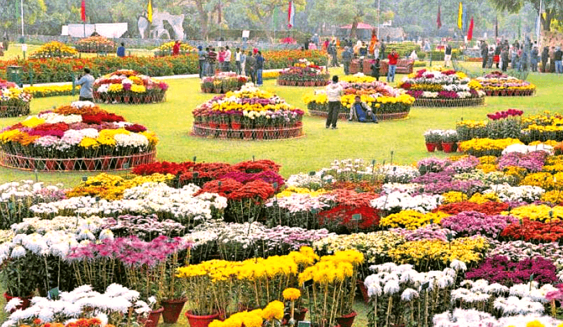 terraced garden in chandigarh 